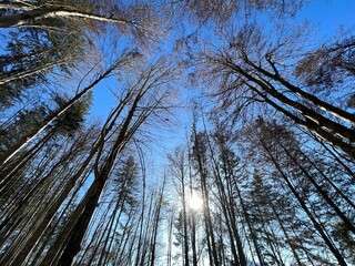 Wanderung Hintersteinersee 11-2024