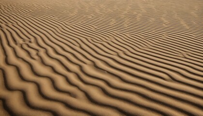 A close view of textured sand dunes showcasing intricate ripples and patterns shaped by the wind	