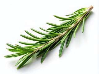 Fototapeta premium Fresh Rosemary Leaf Isolated on White Background with Copy Space for Culinary or Natural Product Use, Perfect for Food Photography and Herbal Illustrations