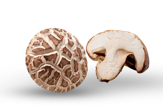 Fresh shiitake mushrooms isolated on white background.