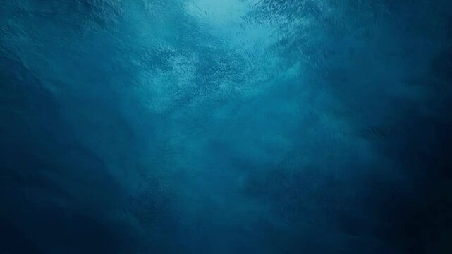 Serene Underwater Ambiance