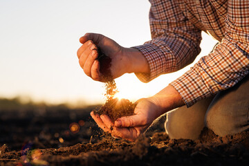 A male farmer's hands hold the soil, checking its quality and health.