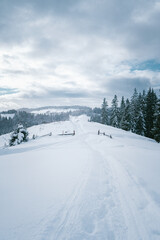 Fototapeta premium Snow-Covered Path Leading to Rural Homes in a Winter Mountain Landscape
