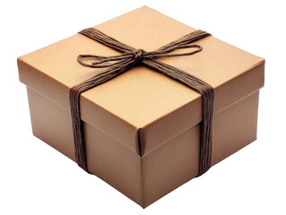 Brown Gift Box with Ribbon for Special Occasions