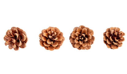 Pine cones set isolated on white transparent, natural brown conifer cones