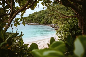 A scenic view of the beach through tree branches