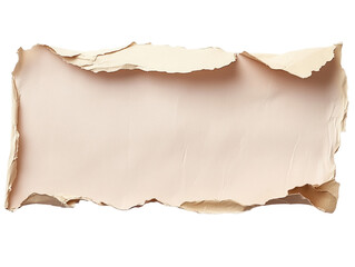 Torn Paper Texture with Vintage Appeal