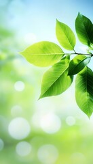 Naklejka premium Fresh Green Leaves on Branch, Springtime Nature Background with Bright Sunlight, Renewal, Growth