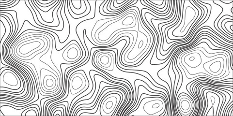 Abstract topographic contours map background. Blank topographic contour map subtle. Geographic grid white background texture terrain lines. Line topography map contour background, geographic grid