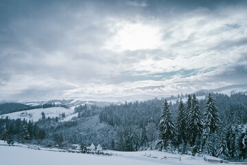 Snow-Covered Forested Hills and Mountainous Landscape on a Winter Day