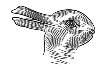 Rabbit-duck illusion. An Ambiguous image, reversible figure, and optical illusion in which a rabbit or a duck can be seen. After an unattributed drawing and earliest known version from 1892. Vector. © Peter Hermes Furian