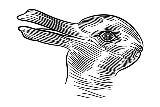 Rabbit-duck illusion. An Ambiguous image, reversible figure, and optical illusion in which a rabbit or a duck can be seen. After an unattributed drawing and earliest known version from 1892. Vector.