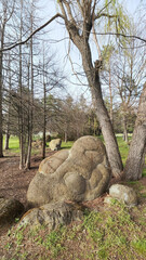 Ancient Ammonites. A sculpture park made of natural sculptures.