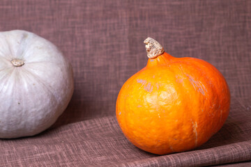 Large pumpkins on brown fabric drapery