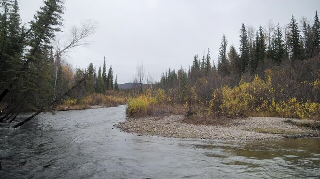 The Chena River near the Chena Hot Springs in Alaska in Autumn