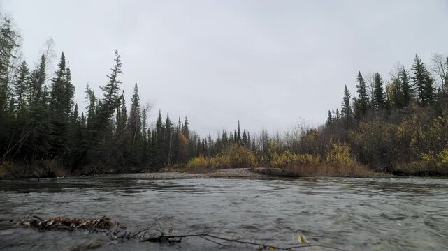 The Chena River with autumn colors, near the Chena Hot Springs, Alaska