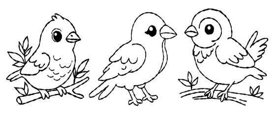 bird outline set  