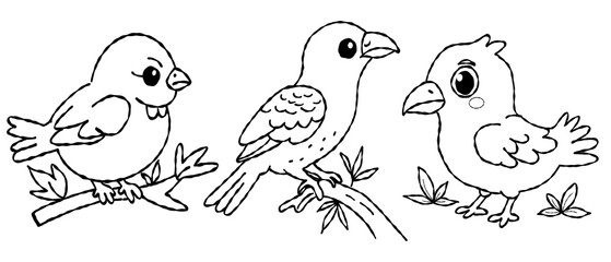 bird outline set  