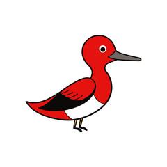 duck isolated on white