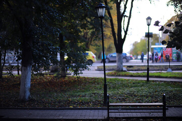 Beautiful autumn park. Russian North. Autumn trees and leaves. Autumn Landscape.Park in Autumn. Forest in Autumn.