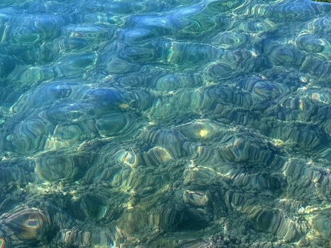 Sea water surface with algae at the seabed