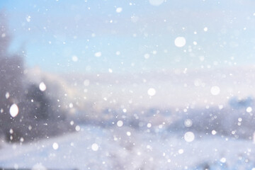 Blurred snow background. Winter landscape. Trees and plants covered with snow.
