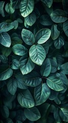 Dark green leaves background
