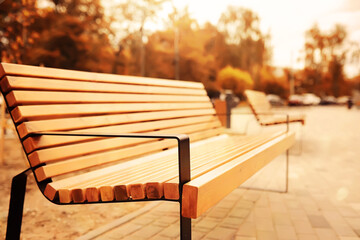 Taking a rest on a wooden bench in the park during autumn season