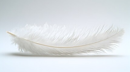 Obraz premium Delicate white feather floating in the air with a serene and elegant aesthetic. The soft,wispy plume appears to be weightlessly suspended,creating a calming and minimalist visual.