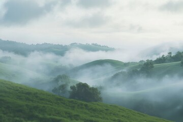 Fototapeta premium Rolling Hills with Low-Lying Fog
