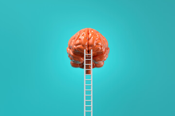 White ladder leading to the top of a human brain on blue background