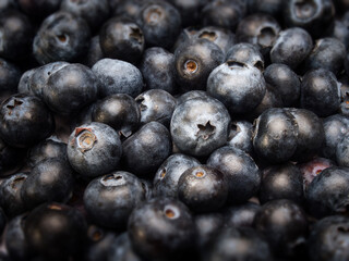 A background image with blueberries in a detailed view and different levels of focus