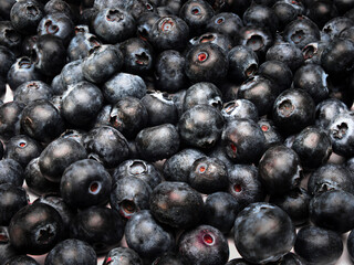 A background image with blueberries in a detailed view and different levels of focus
