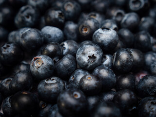 A background image with blueberries in a detailed view and different levels of focus