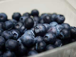 The detail shot of blueberries in a plastic packaging with a limited plane of focus