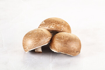 Raw brown champignon for cooking