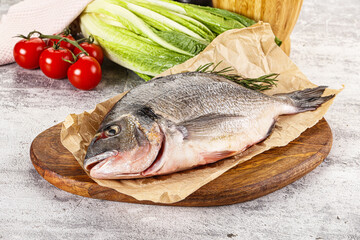 Raw dorada fish served rosemary