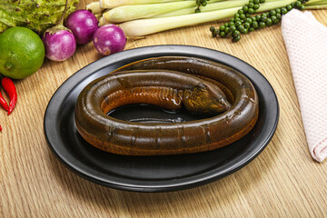 Fresh raw uncooked eel for grill