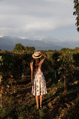 An Elegant Woman in a Floral Dress Stands Gracefully Against a Scenic Vineyard Landscape