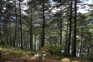 andorra nature travel vacation memories amateur photo