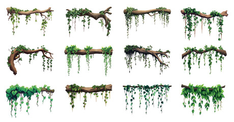 Green liana on the wooden brunch stick set. Old tree with hanging exotic tropical vines. Jungle botanical nature elements. Game app banner poster design element. Cartoon style isolated vector clipart