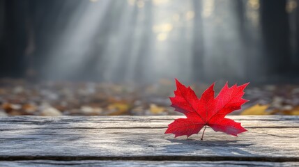 Obraz premium Closeup of a vibrant red maple leaf on rustic wooden table, captivating autumn scene