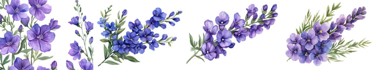 Fototapeta premium Closeup of beautiful vibrant violet larkspur flowers blooming in a lush verdant botanical garden or meadow The delicate elegant petals create a stunning romantic floral display perfect for wedding