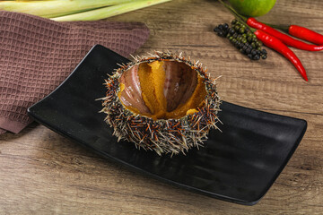 Delicous luxury raw sea urchin