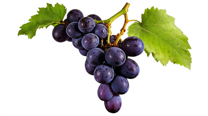 Fototapeta premium bunch of grapes isolated on white fresh fruit