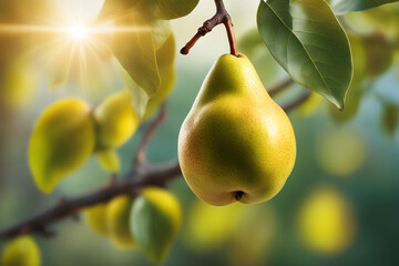 A tree with green pears hanging from it