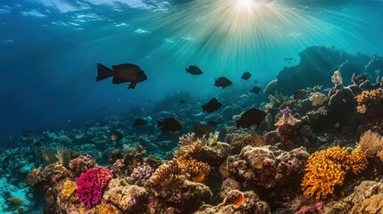 Obraz premium world of underwater photography in scuba diving.