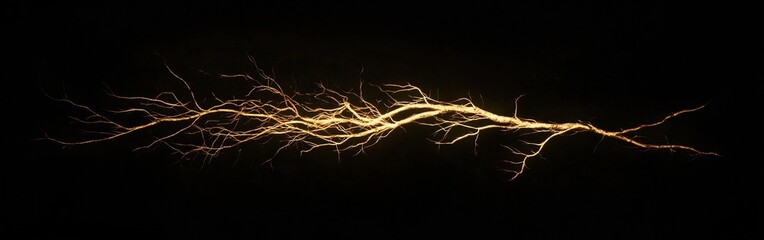 Branching Lightning Bolt Isolated on Black Background
