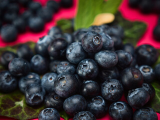 Blueberries with leaves on a red background plain