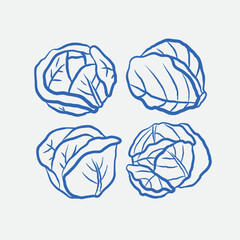 Hand-drawn cabbage Illustration Set. Line art, ink, minimalist style. Vector illustration.